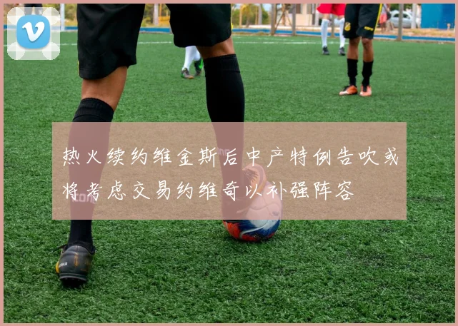 热火续约维金斯后中产特例告吹或将考虑交易约维奇以补强阵容